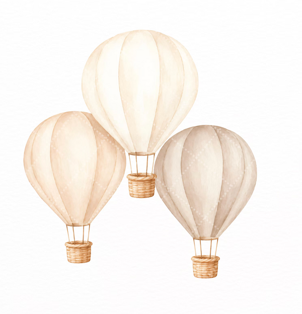 Hot Air Balloon