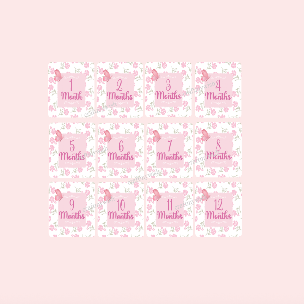 Butterfly theme milestone cards  |  Baby Monthly Cards