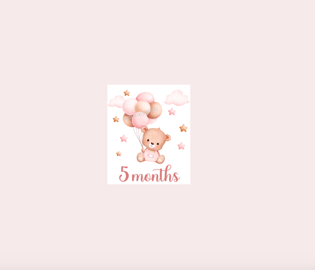 Baby Girl Teddy Bear Monthly Cards  |  Baby Monthly Cards