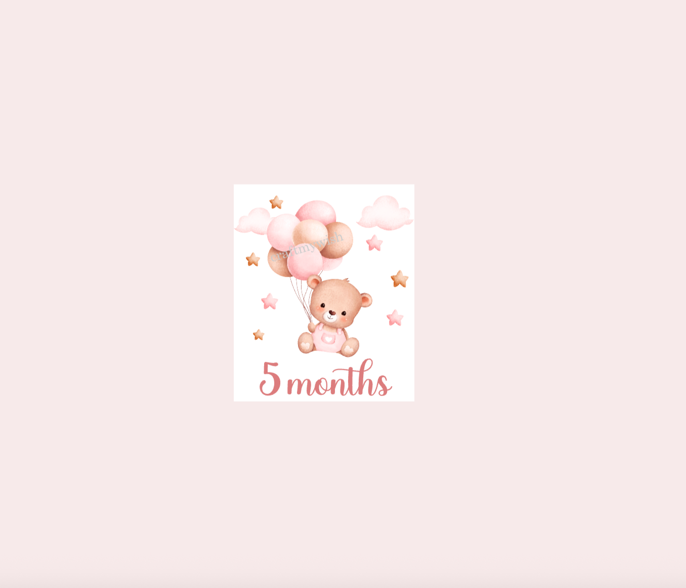 Baby Girl Teddy Bear Monthly Cards  |  Baby Monthly Cards
