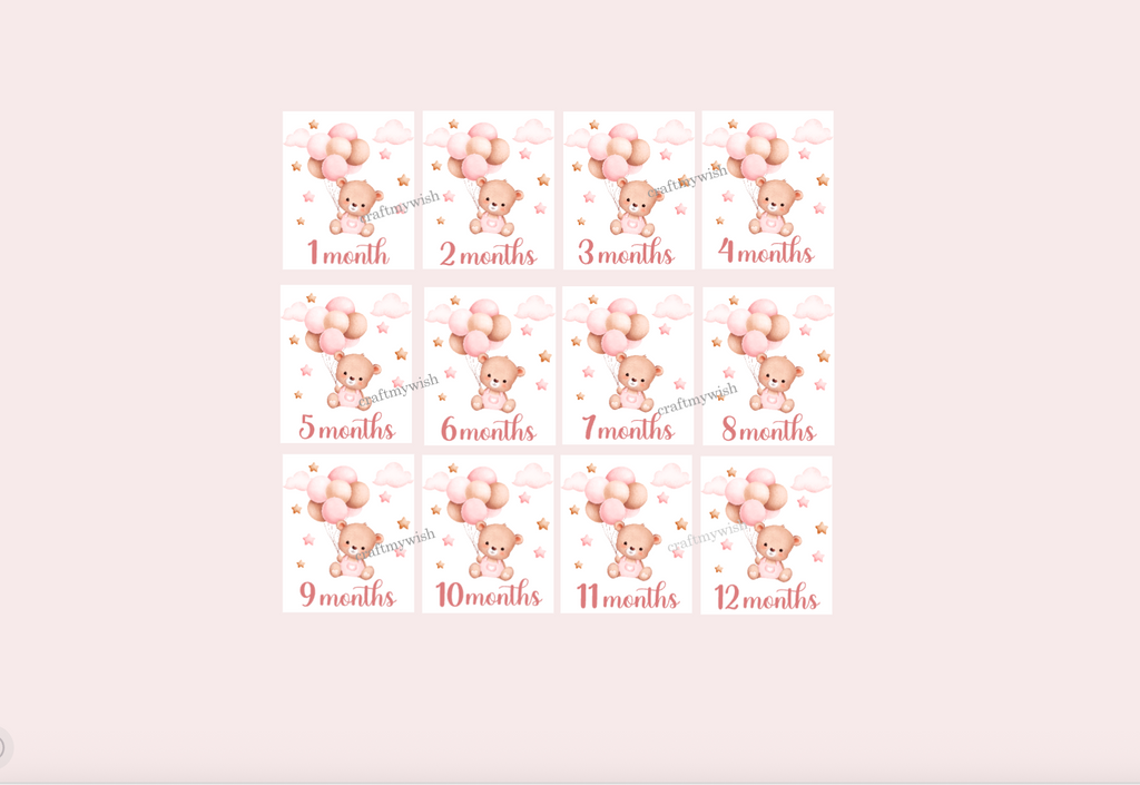Baby Girl Teddy Bear Monthly Cards  |  Baby Monthly Cards
