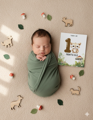 Woodland Animals Baby Monthly Cards  |  Baby Monthly Cards