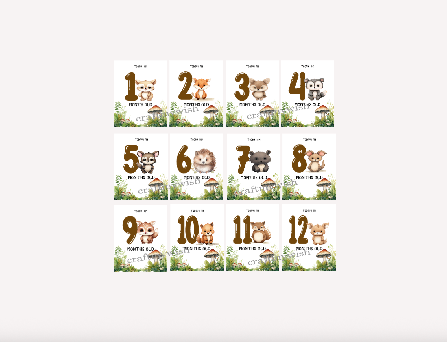 Woodland Animals Baby Monthly Cards  |  Baby Monthly Cards