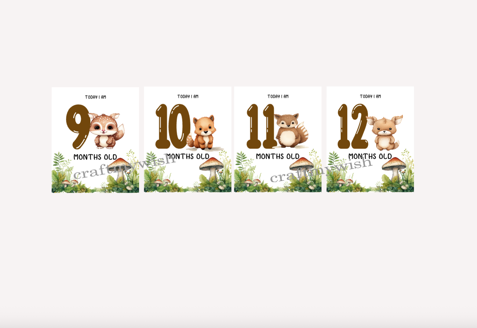 Woodland Animals Baby Monthly Cards  |  Baby Monthly Cards