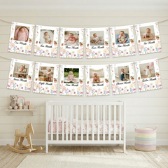 Fairy Theme 12 Months Photo Banner