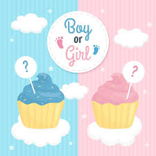 Gender Reveal