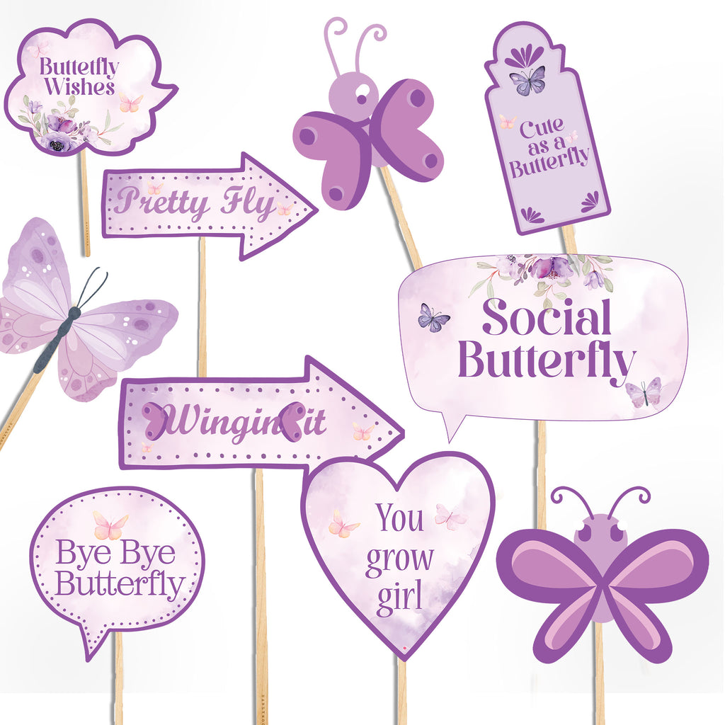 Butterfly Theme Birthday Decoration Ultimate Package