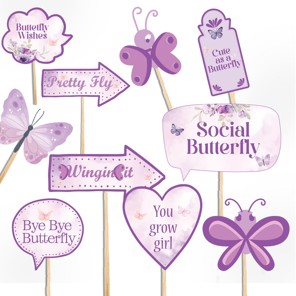 Butterfly Theme Birthday Decoration Ultimate Package