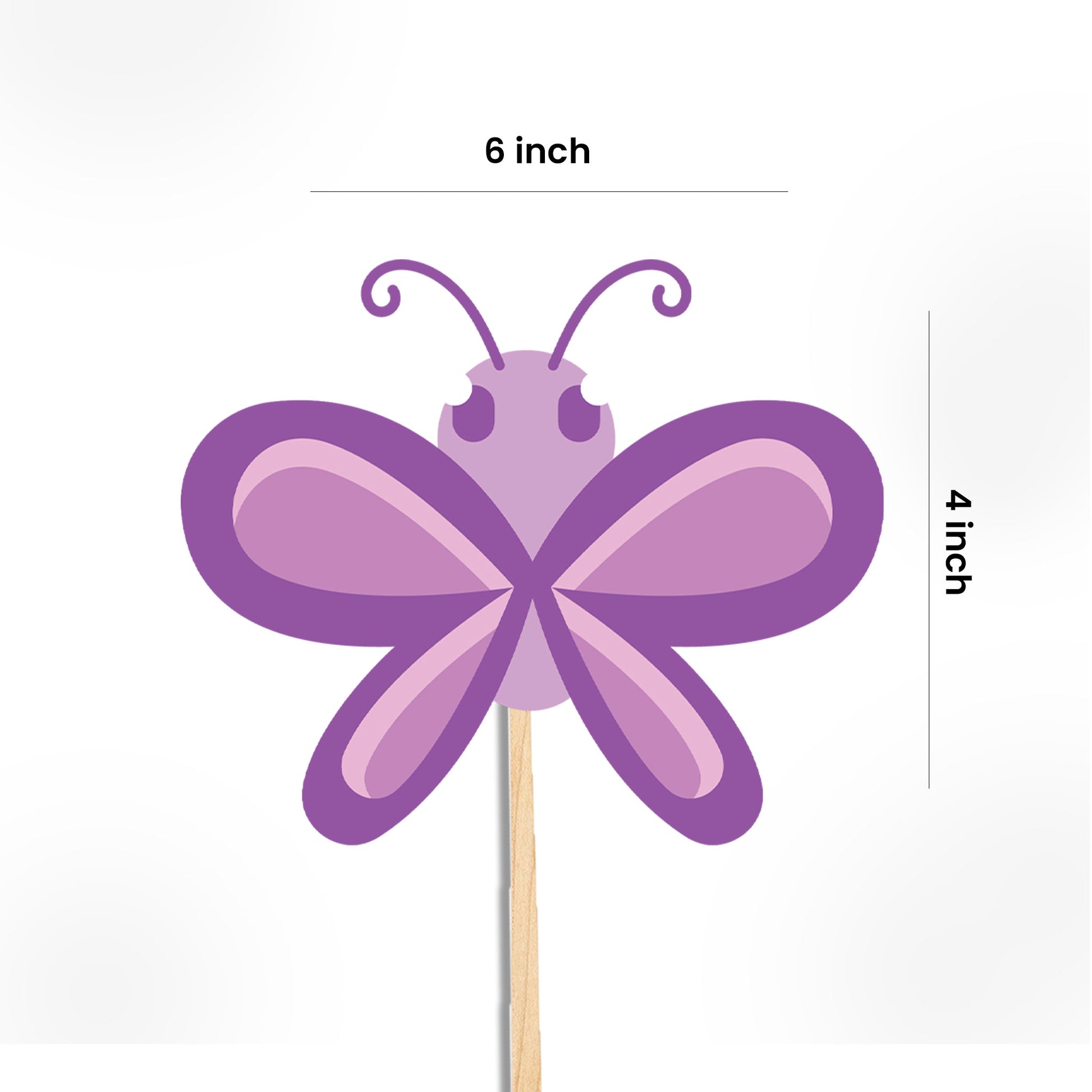 Butterfly Theme Props